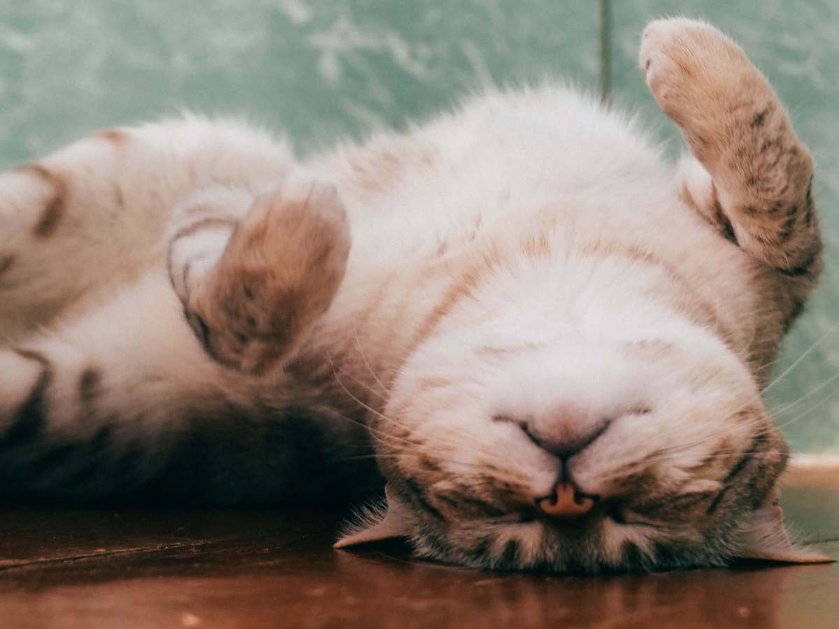 Stanley’s Motto in The Office: The Opposite of Michael’s Motto