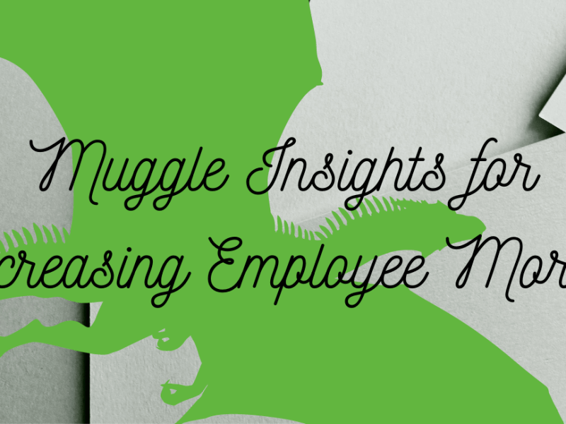 What if The Office and Harry Potter Existed in the Same Universe?